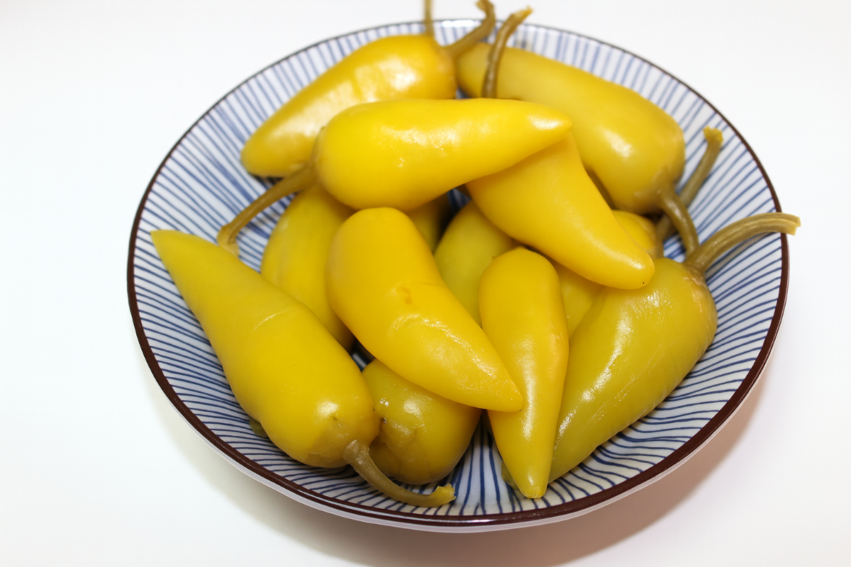 علبة لسعة